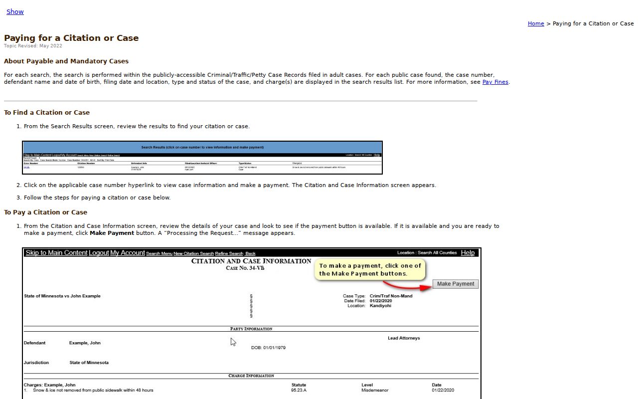 Sherburne County traffic court records payment result detail instructions